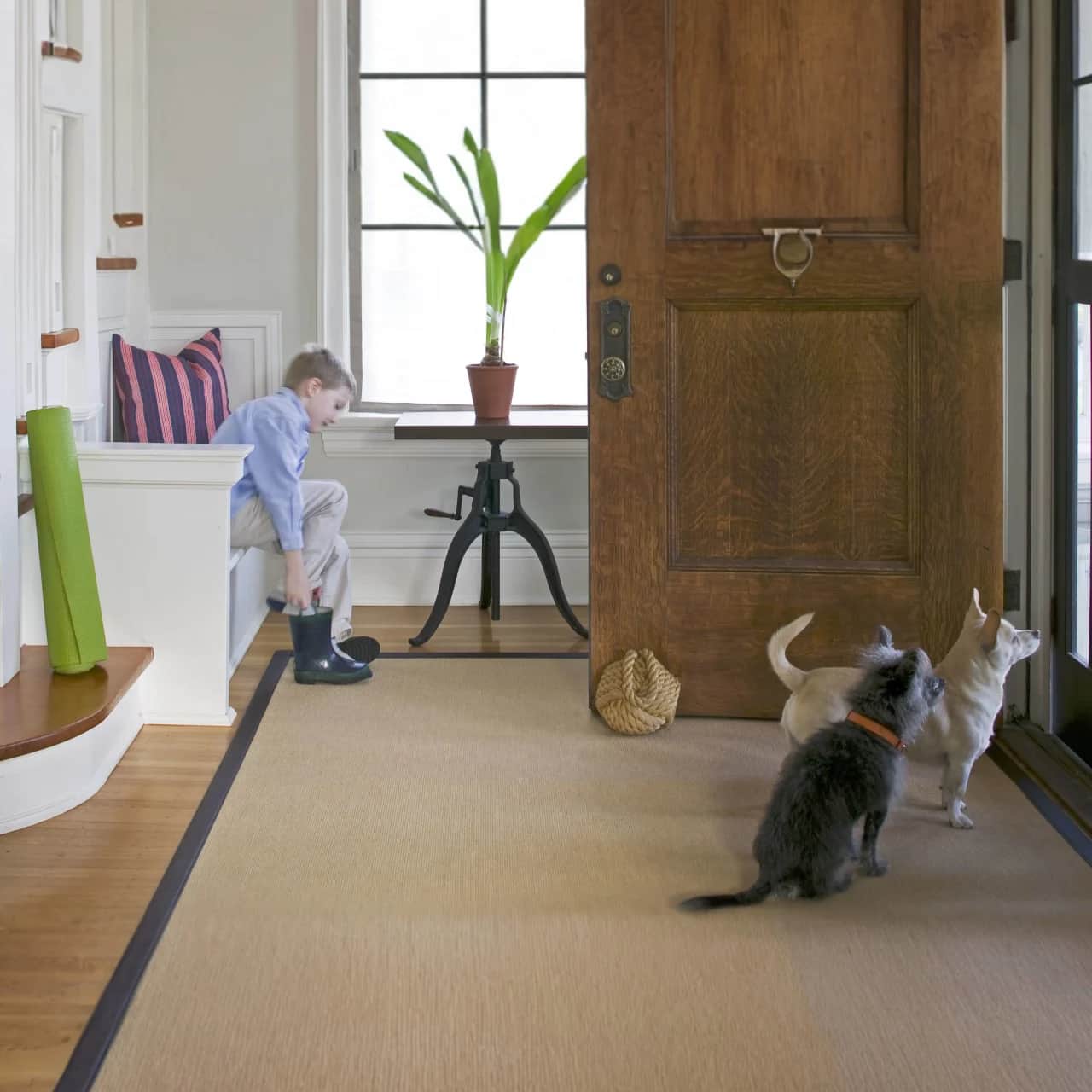 Synthetic Sisal Rugs | Easy To Clean
