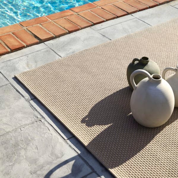 Terra Sahara | Coconut