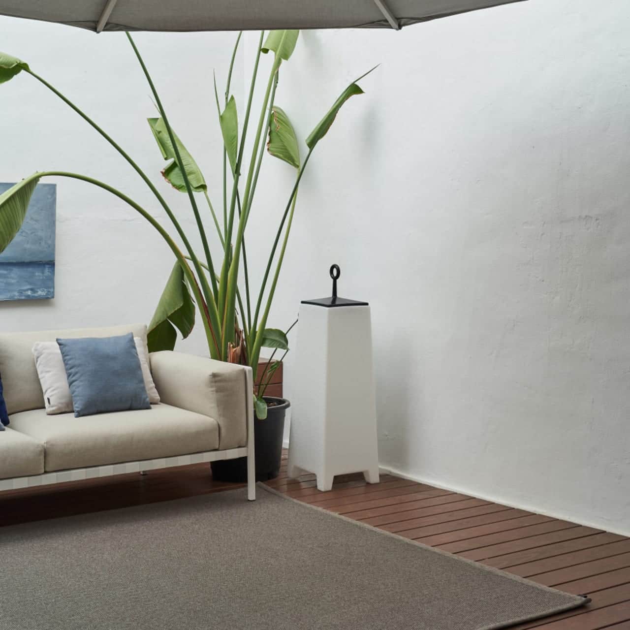 Nature Premium Lite | Licorice