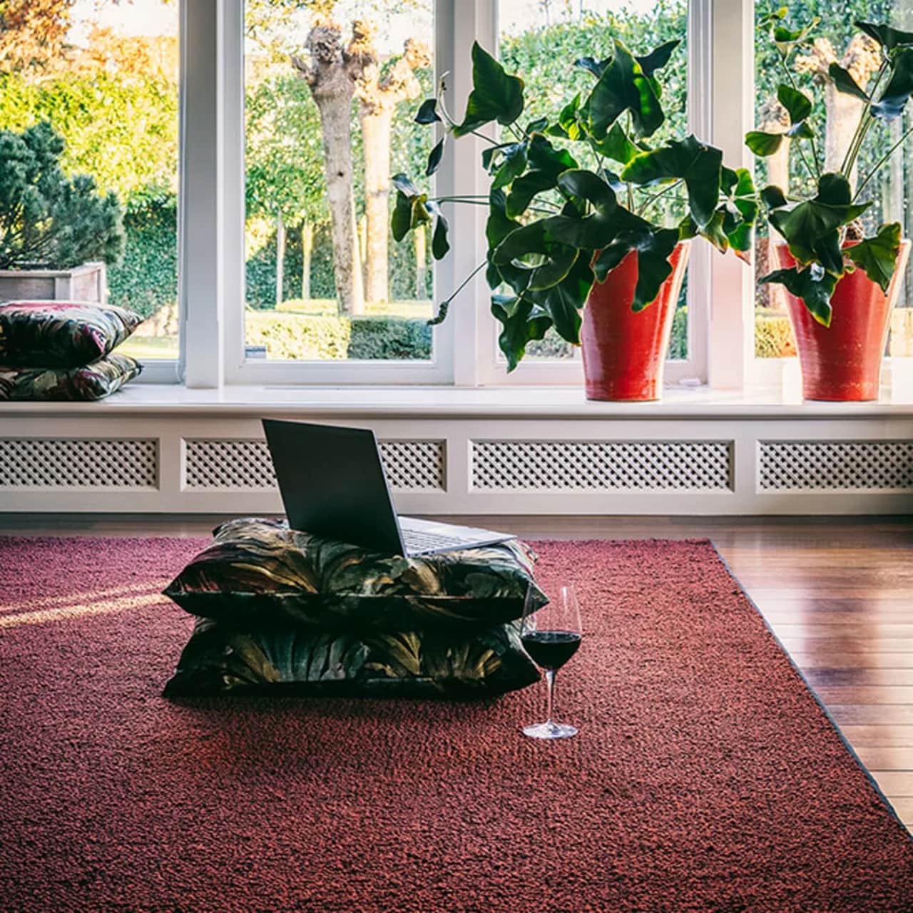 Fingers Crossed Flavoured Cayenne area rug in sunny living room