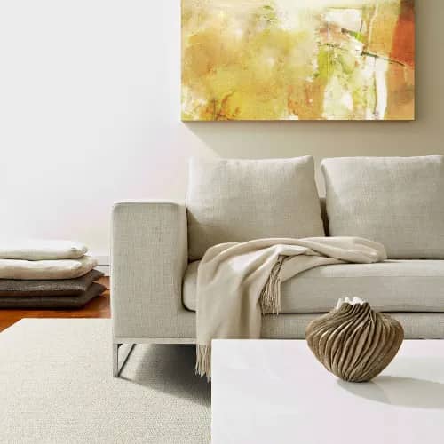 Pure Wool Rainier Aspen area rug in a transitional living room