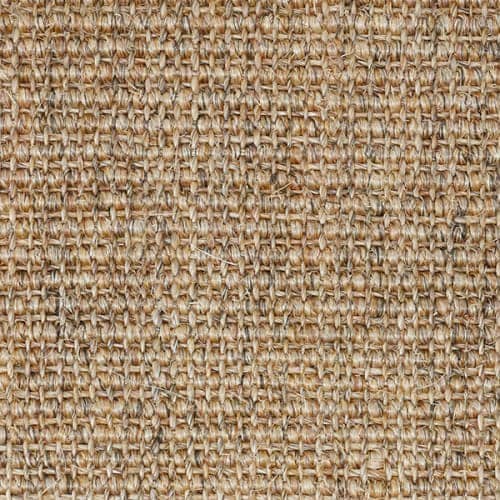 Macadamia
