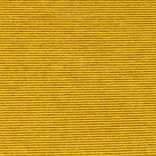 Canary