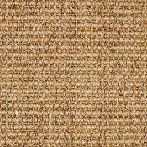 Sahara