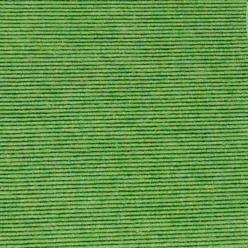 Shamrock