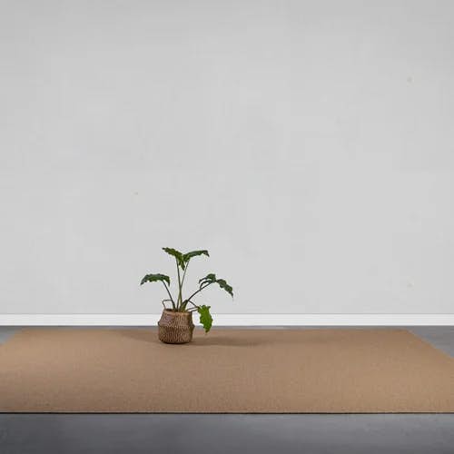 serged edge area rug with plant