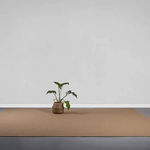 serged edge area rug with plant