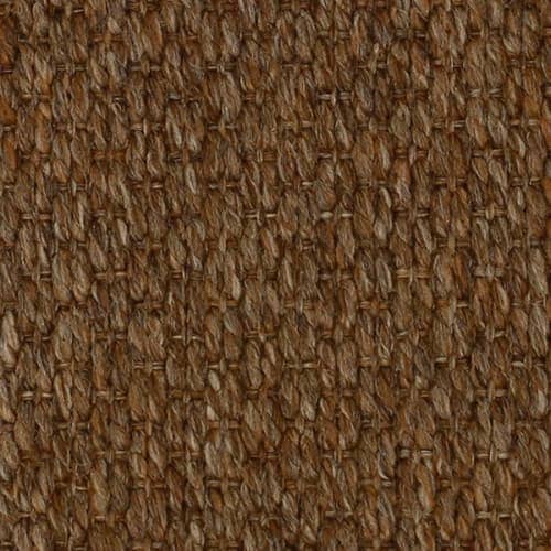 Acorn