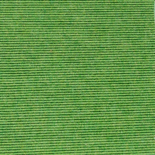 Acousticord | Shamrock