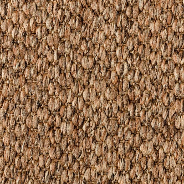 Langley | Bark