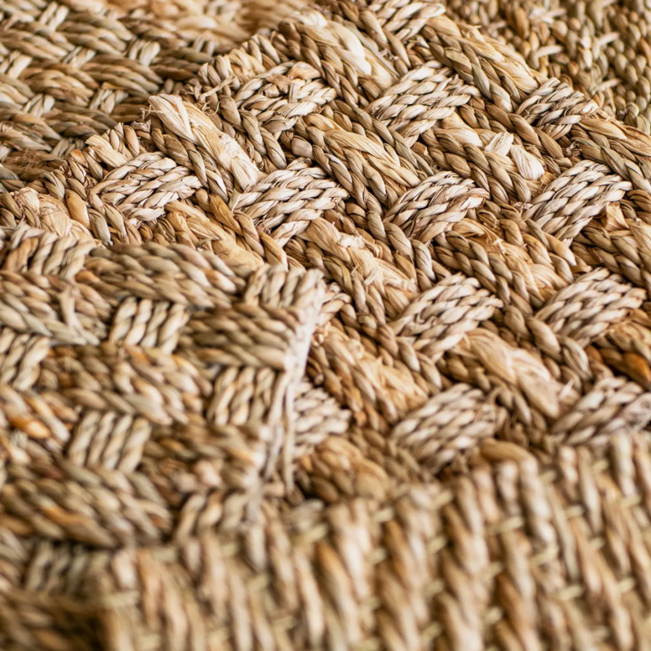 Group of seagrass swatches