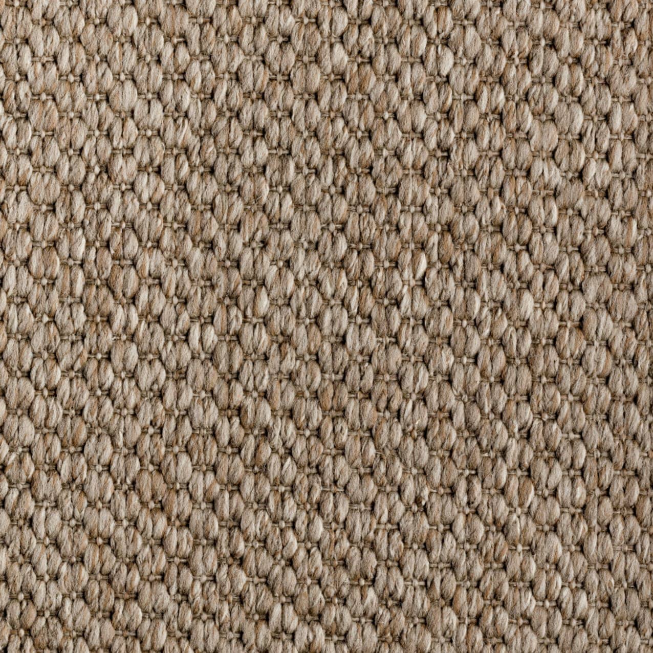 Langley | Mink