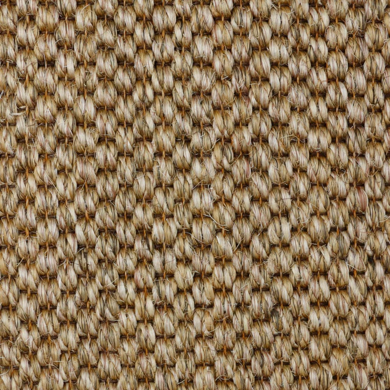 Lyon | Zebrawood