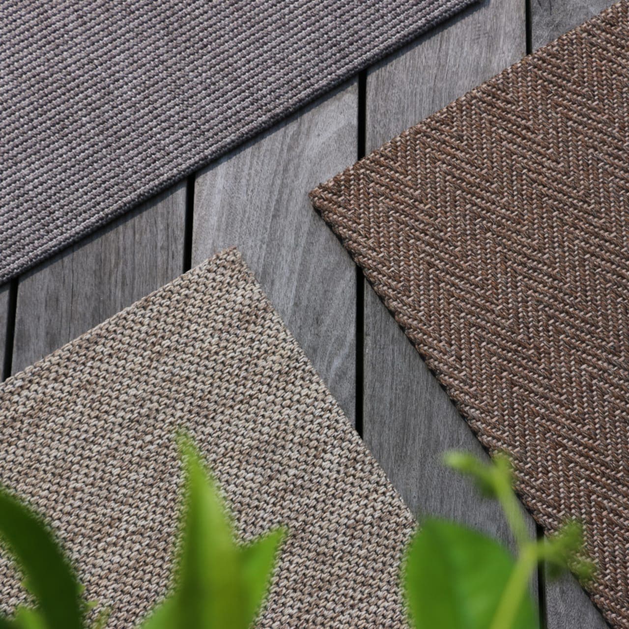 Terasa Group Shot (Brisbane, Bowen, Perth)