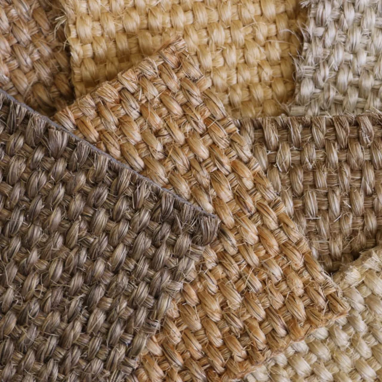 Legacy | Assorted Colors