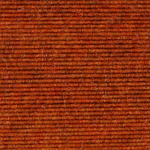 Burnt Orange