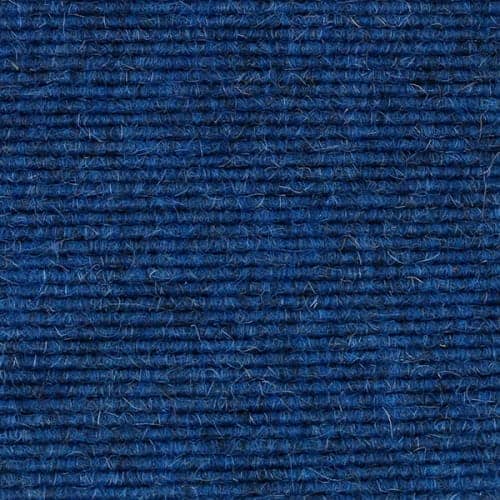 Cornflower