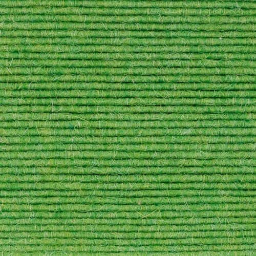 Lettuce