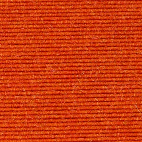 Orange Squash