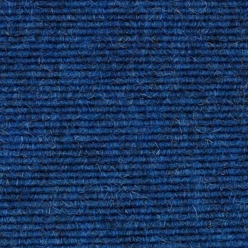 Cornflower