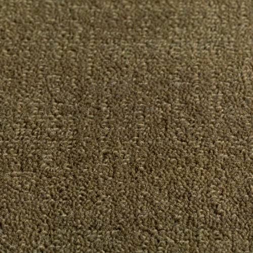 Sedge