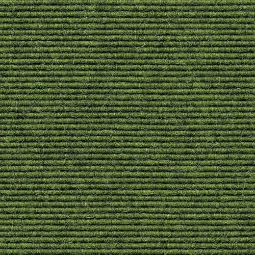Clover