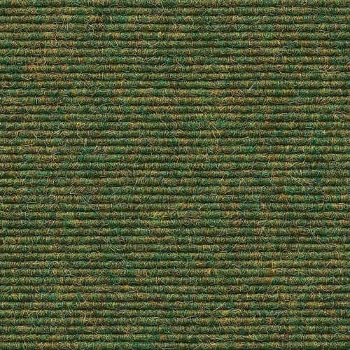 Fern