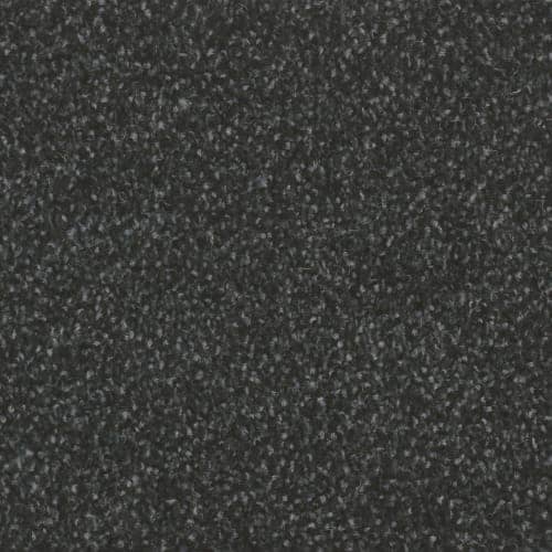 CTW 585