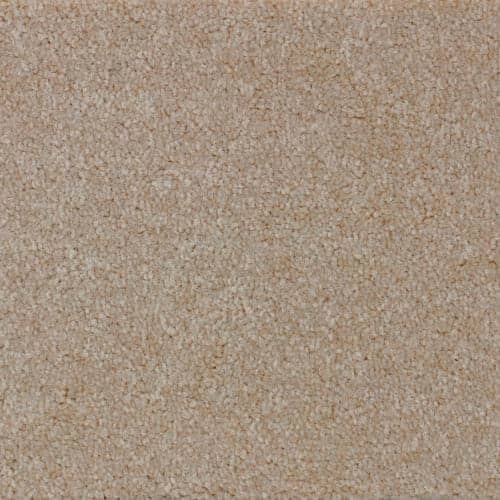 CPE 810