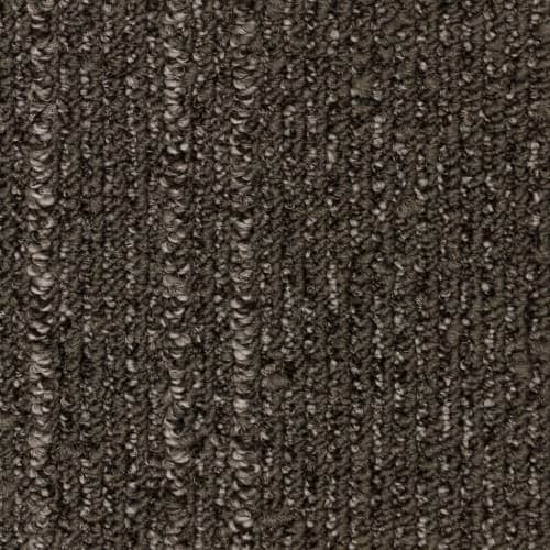 CVA 575
