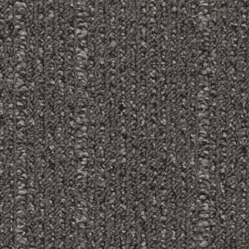 CVA 555