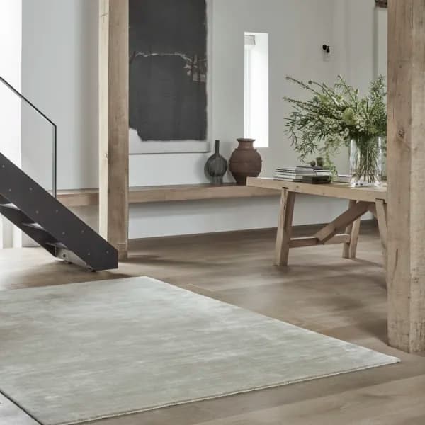 Mandalay Silk Fawn area rug in foyer