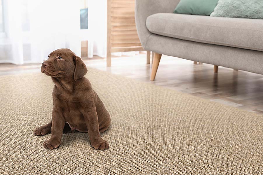 Ravenna, one of our SynSisal® weaves, is soft and easy to clean, which makes it perfect for families with kids and/ or pets.